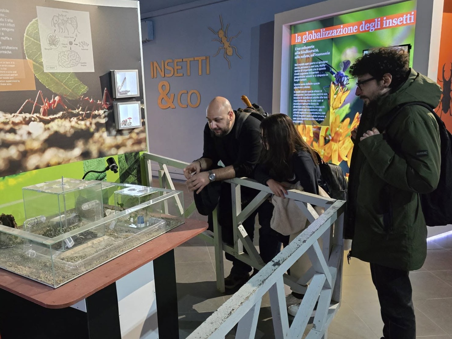 Educazione ambientale — Associazione di Promozione Sociale Avalon