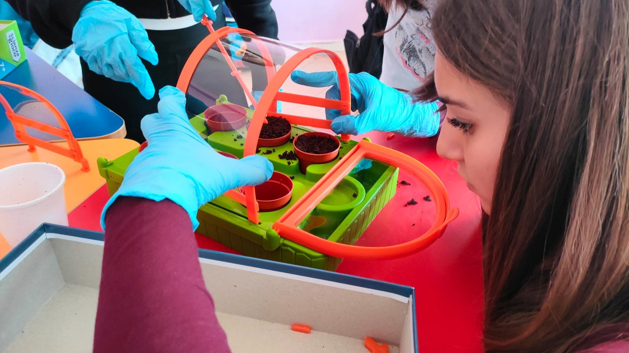 Educazione ambientale nelle scuole — Associazione di Promozione Sociale Avalon
