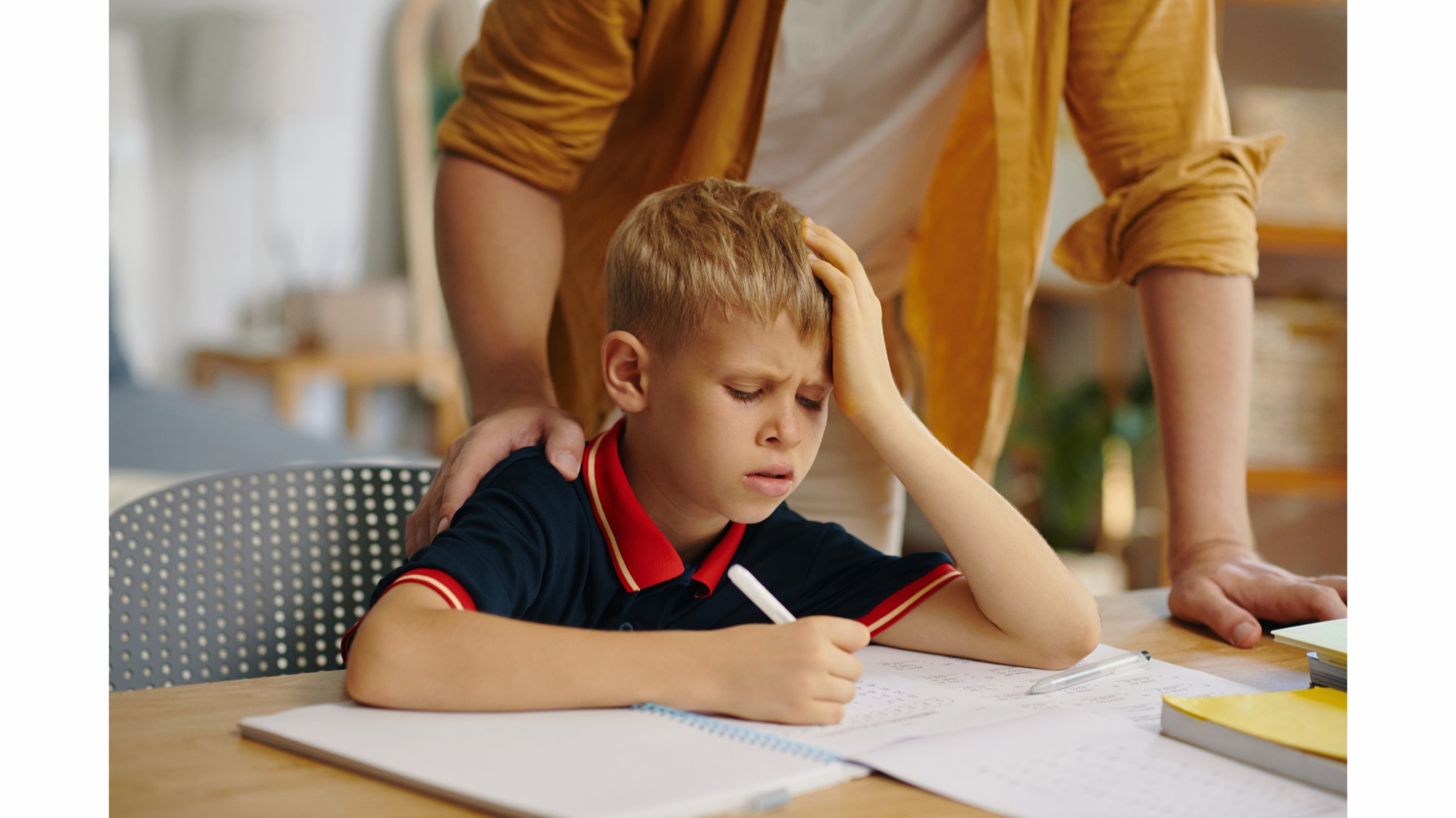 Doposcuola per ragazzi — Associazione Elementi APS