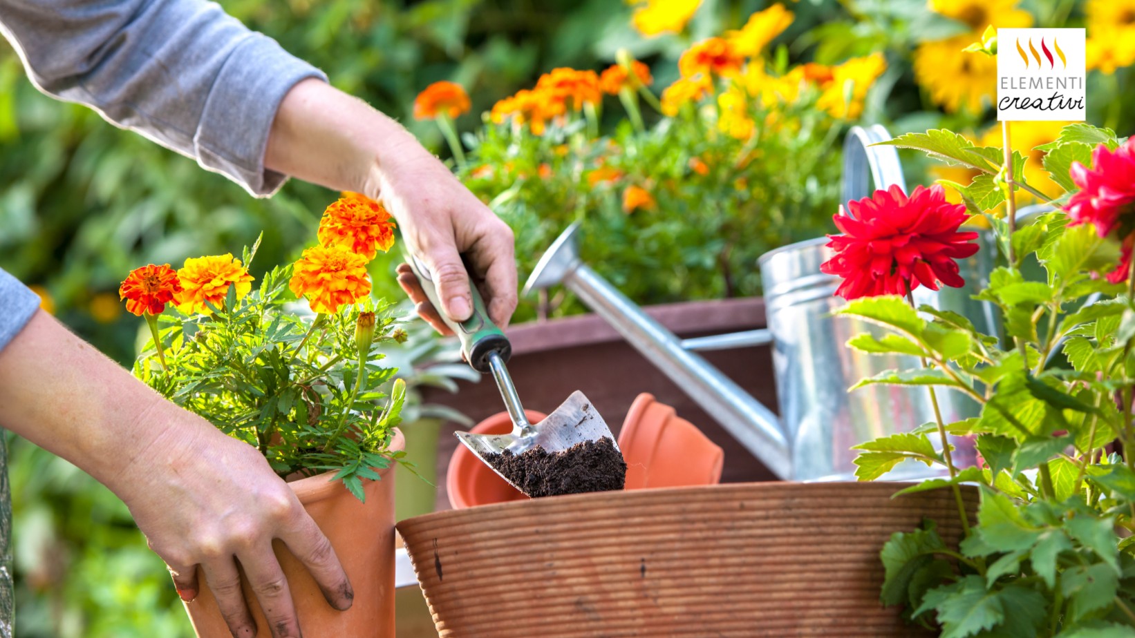 Giardinaggio e cura del verde — Associazione Elementi APS