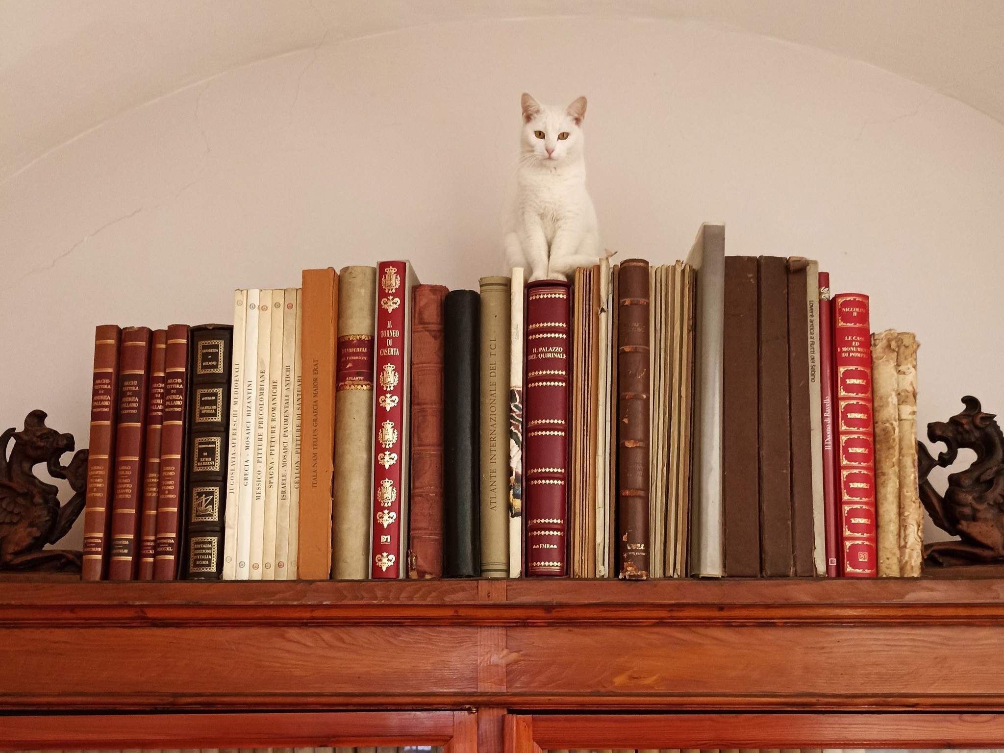Bibliotecario — Il Giardino Segreto di Roccaromana a.p.s