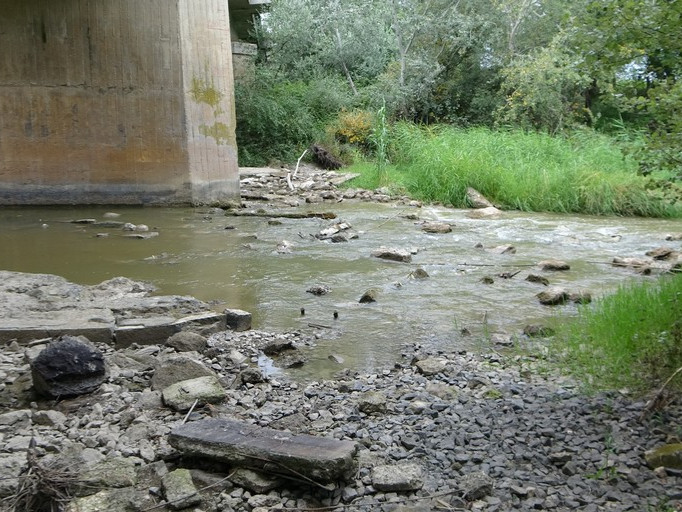 Tuteliamo l’acqua del fiume Ofanto – bene comune. — NUCLEO DI VIGILANZA ITTICO-FAUNISTICA, AMBIENTALE ED ECOLOGICA - ODV