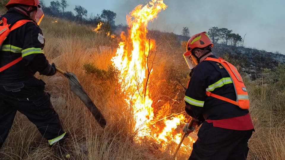 Prevenzione e lotta agli incendi boschivi — Royal Wolf Rangers del Lazio