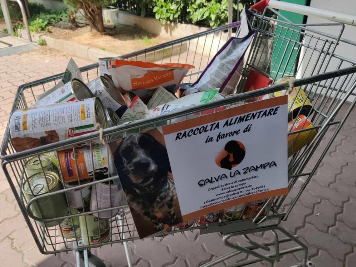 Raccolte alimentari — SALVA LA ZAMPA ETS